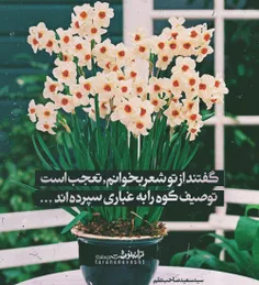 یا ابا صالح المهدی (عج) ادرکنی  