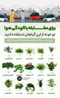 🔹️بهترین #گیاهان #تصفیه‌کننده هوا 🌿