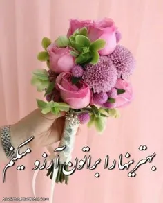 گوناگون s.dehghani 24237015