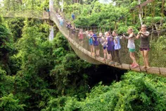 این#پل_خطرناک در اعماق جنگلهای#غنا وجود داره.درحالیکه بیش