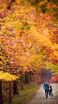#Nature #Fall