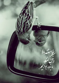 عاشقانه ها sogand-83 73795037