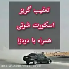 با دم شیر بازی نکن