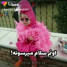 یه بار چیه هزار بار😂