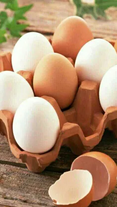 اتفاق عجیب که تخم مرغ برایمان رقم میزند !🥚