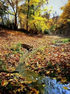 طبیعت روستای پایگلان مریوان