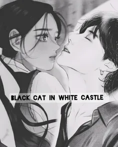 رمان : black cat in white castle 