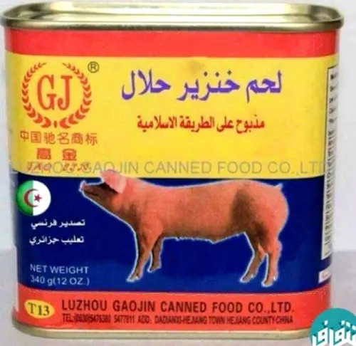 «گوشت حلالِ خوک! ذبح شده به روش اسلامی»