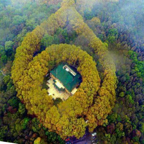 نمایی هوایی از قصر Mei-Lin در منطقه نانجینگ (Nanjing) در 