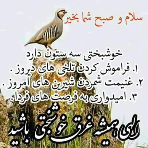 عکس نوشته ali999999 24607010 - عکس ویسگون