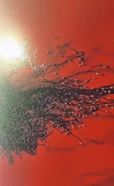 یکی از زیباترین تصاویر طبیعت ایران 