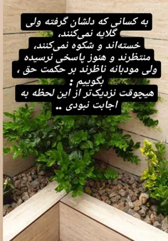 رنگین‌ کلام..