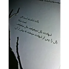 #شهید_آوینے:˘˘