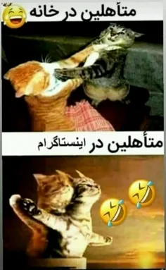 واقعیته بخدا 😂 😂