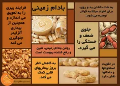 ۷ بیماری را با مصرف منظم ۷ نوع آجیل از خود دور کنید