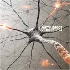 مغز شما حاوی بیش از ۸۶میلیارد سلول عصبی است که توسط ۱۰۰تر