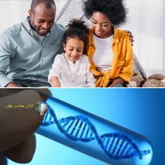 زمانی که شما از DNA هر دو والدینتان به ارث می‌برید ، در ن