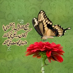 امام على عليه السلام: