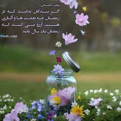 🌸 پیامبر رحمت(ص):