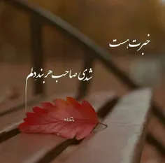 خبرت هست شدی صاحب هر بند دلم