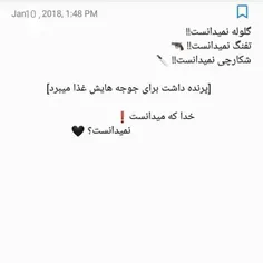 این متن چندتالایک داره