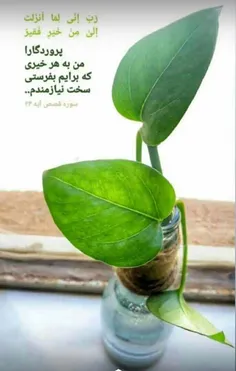 خدایا شکرت 💚🌱