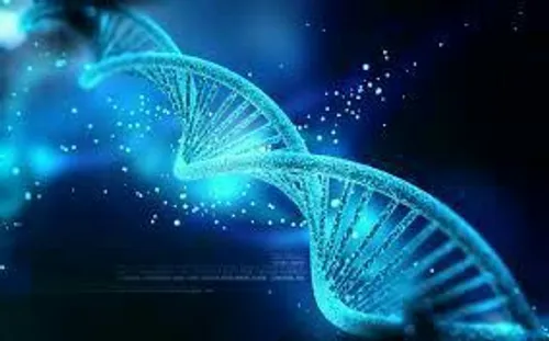 یک گرم DNA دارای ظرفیت 455 اگزا بایت است بنابراین 2 گرم D