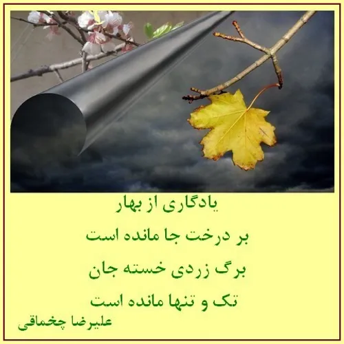 برگِ زردی خسته جان ...