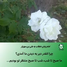 مذهبی 