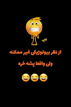 خیلی هم‌خره👊😬😂