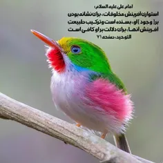 کلام امیرمؤمنان علی علیه السلام 🙏🙏🌹🌹♥️♥️