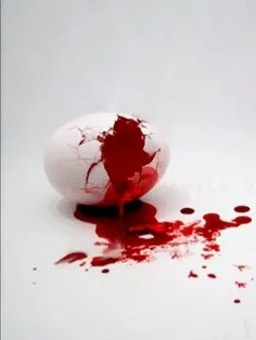 اگه نخوندی لایک نکن 
