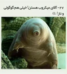 برا خودم خیلی جالب بود