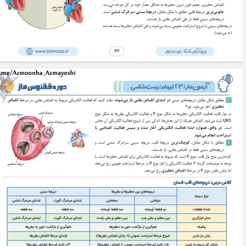با تجربه ای که از کنکور دارم، بهتون میگم شب قبل کنکور حتم