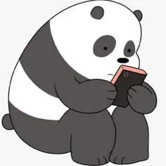 🐼 پاندا