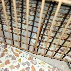 وای رفتیم قورباغه گرفتیم فیلم نشد که پستش کنم اگه تونستم 