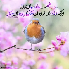 🌺 گفت پیغامبر ز سرمای بهار