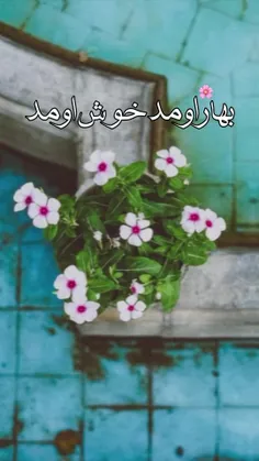 رفیقان عزیزان و همراهان همیشگی 💕دنیای  من وتو💕