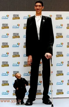 بلند ترین و کوتاه ترین انسانهای دنیا