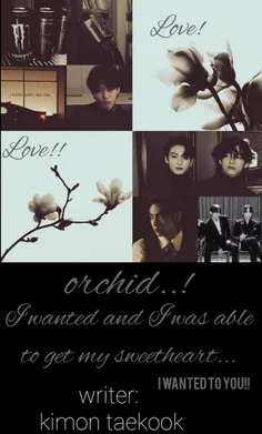 orchid p6