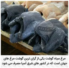 #مرغ_سیاه_گوشت ، یکی از#گرانترین گوشت مرغ های جهان است که