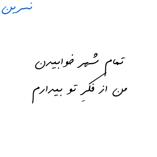 نسرین نانکلی 15