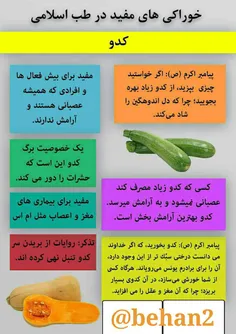 خوراکیهای مفید طب اسلامی