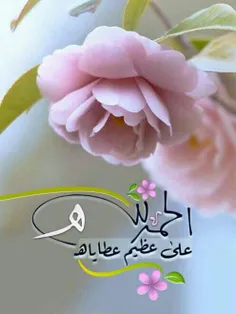 عکس نوشته bahareh6683 29789682