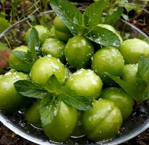 دیدنش حال مرا یک جور دیگر می کند 😍