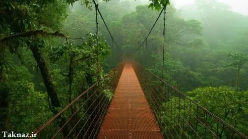 کی میاد باهم از این پل عبور کنیم؟