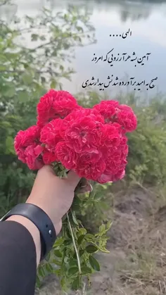 #الهی_به_امیدتو 🙏♥️