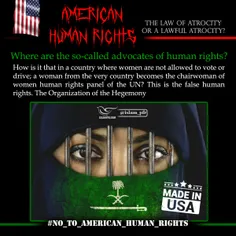 🇺 🇸  American Human Rights 