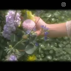 جایی برای حرف زدن با دوستام⁦✔️⁩🐰