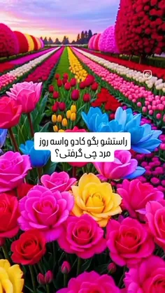 روز مرد به همه عزیزان تبریک میگم⚘